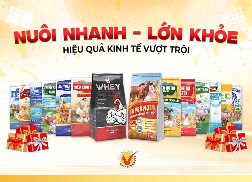 BÌa ĐiỆn ThoẠi