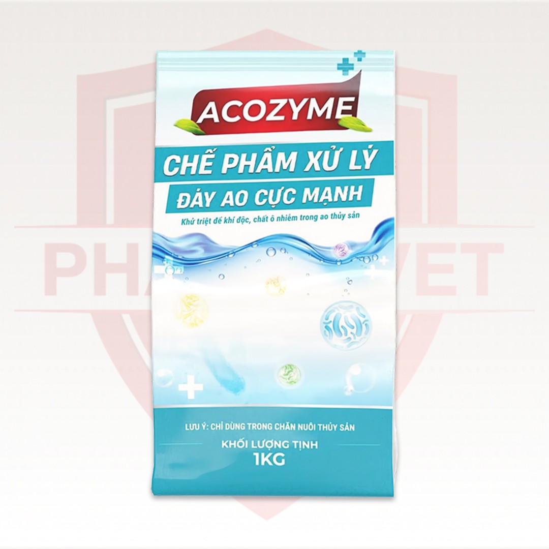 ACOZYME - XỬ LÝ ĐÁY AO