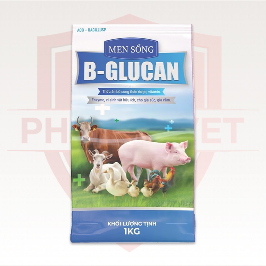 MEN SỐNG B-GLUCAN