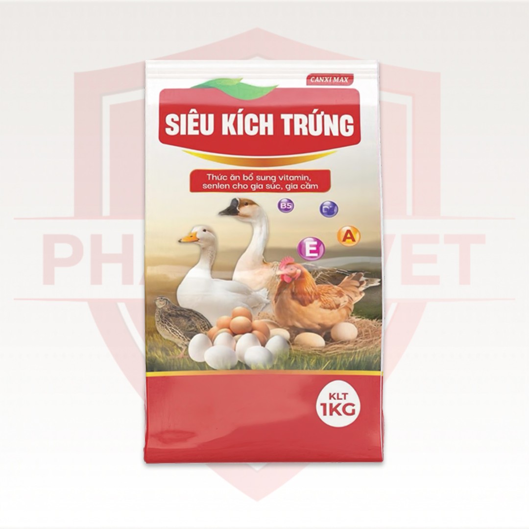 SIÊU KÍCH TRỨNG