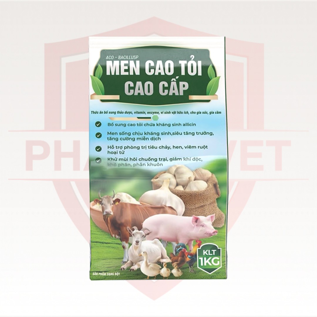 MEN CAO TỎI CAO CẤP